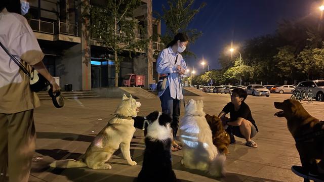北京最好最正规的宠物医院，北京最好最正规的宠物医院西城？