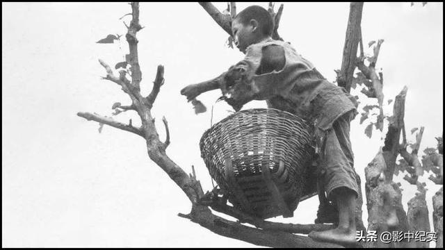 958年大饥荒是什么原因，1958年大饥荒图片？"
